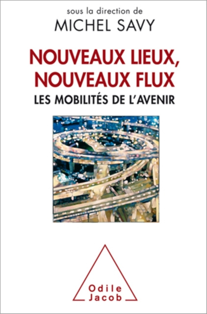 E-book Nouveaux lieux, nouveaux flux Savy Michel Savy