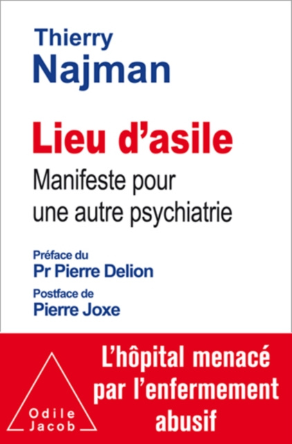 E-kniha Lieu d'asile Najman Thierry Najman