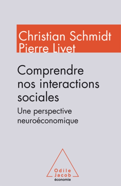 E-knjiga Comprendre nos interactions sociales Schmidt Christian Schmidt
