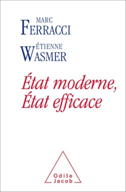 E-kniha Etat moderne, Etat efficace Wasmer Etienne Wasmer