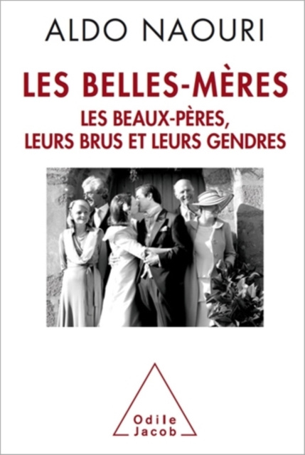 E-book Les Belles-Meres Naouri Aldo Naouri