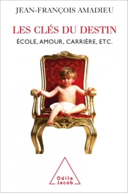 E-kniha Les Cles du destin Amadieu Jean-Francois Amadieu