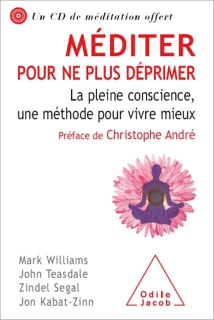 E-kniha Mediter pour ne plus deprimer Williams Mark Williams