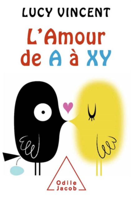 E-kniha L' Amour de A a XY Vincent Lucy Vincent