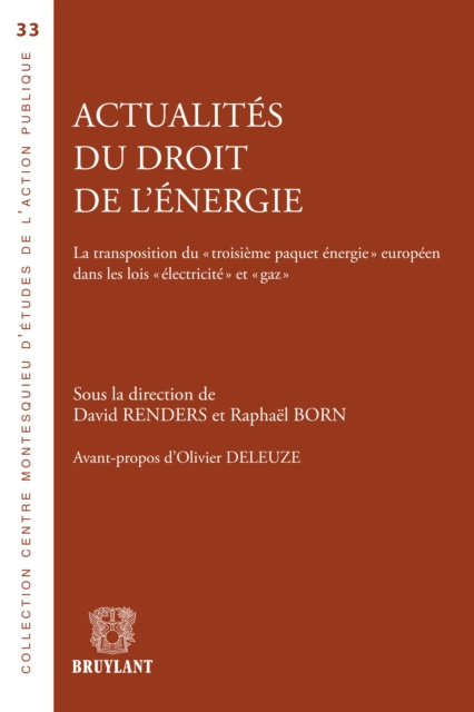 E-kniha Actualites du droit de l'energie Raphael Born