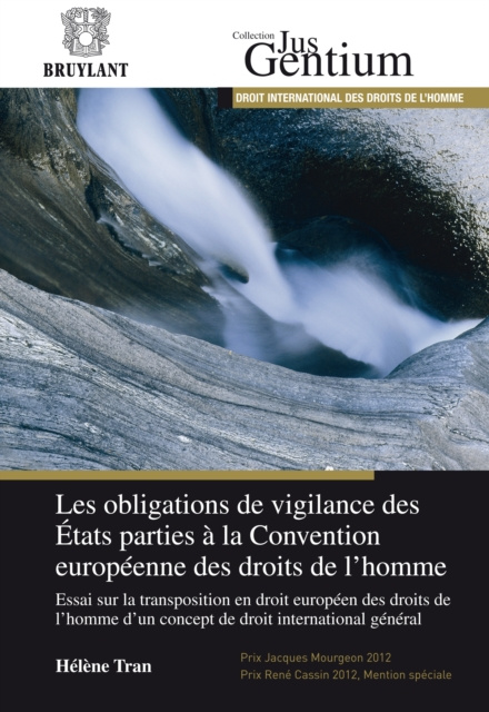 E-kniha Les obligations de vigilance des Etats parties a la Convention europeenne des droits de l'homme Helene Tran