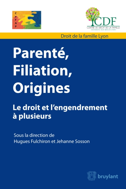 E-kniha Parente, filiation, origine Hugues Fulchiron