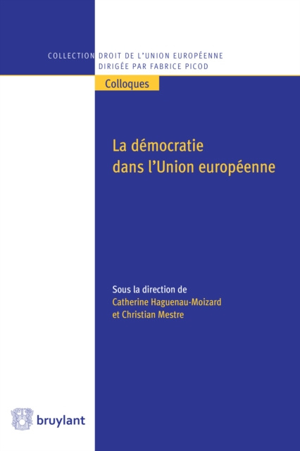 E-kniha La democratie dans l'Union europeenne Catherine Haguenau-Moizard
