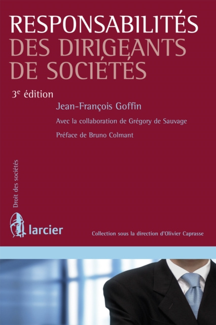 E-Book Responsabilites des dirigeants de societes Jean-Francois Goffin