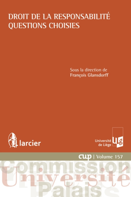 E-kniha Droit de la responsabilite - Questions choisies Francois Glansdorff