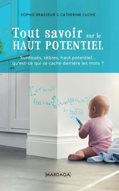 E-kniha Tout savoir sur le Haut Potentiel Sophie Brasseur