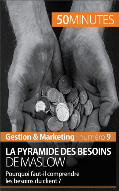 E-kniha La pyramide des besoins de Maslow Pierre Pichere