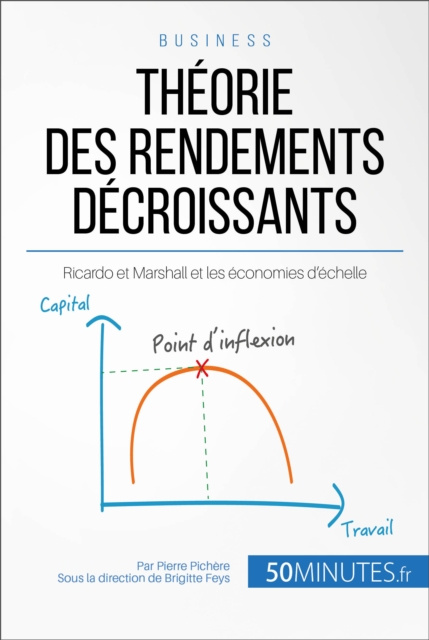 E-kniha Theorie des rendements decroissants Pierre Pichere