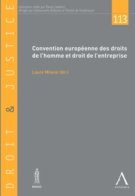 E-kniha Convention europeenne des droits de l'homme et droit de l'entreprise Laure (dir.) Milano
