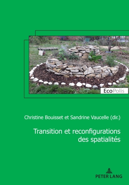 E-kniha Transition et reconfiguration des spatialites Bouisset Christine Bouisset