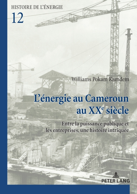 E-kniha L'energie au Cameroun au XXe siecle Pokam Kamdem Williams Pokam Kamdem