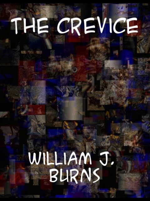 E-Book Crevice William J. Burns