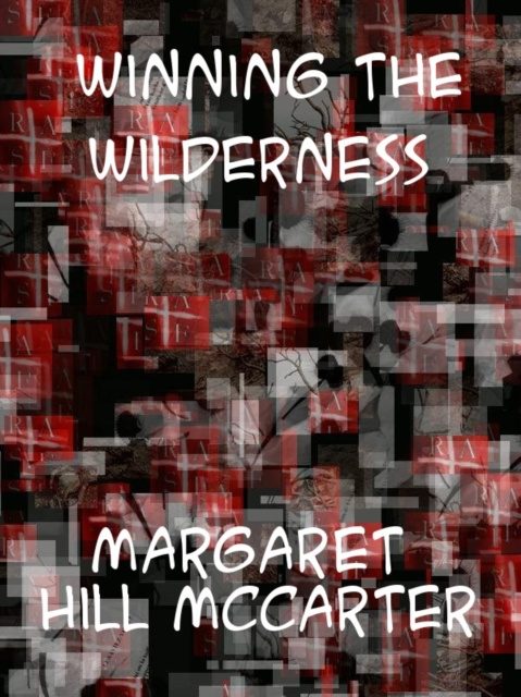 E-knjiga Winning the Wilderness Margaret Hill McCarter