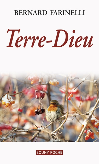 E-book Terre-Dieu Bernard Farinelli