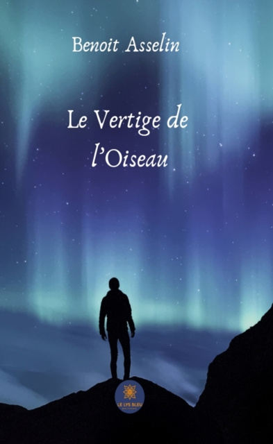 E-kniha Le Vertige de l'Oiseau Benoit Asselin
