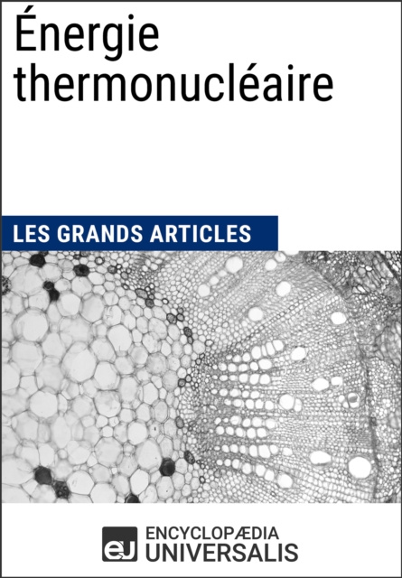 E-book Energie thermonucleaire Encyclopaedia Universalis