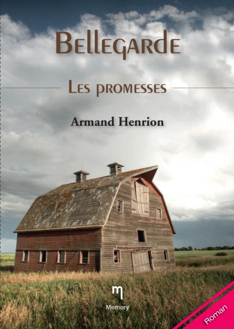 E-knjiga Les promesses Armand Henrion
