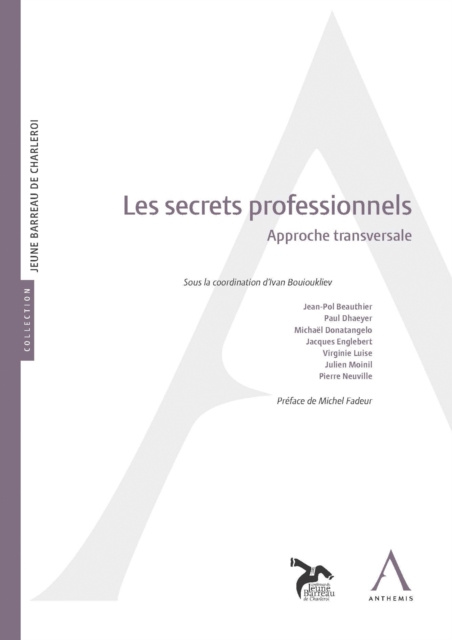 E-book Les secrets professionnels Anthemis