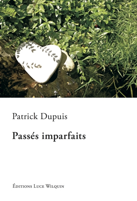 E-book Passes imparfaits Patrick Dupuis