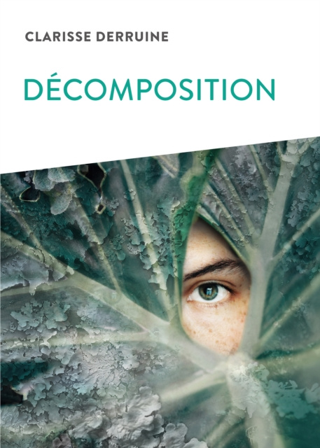 E-knjiga Decomposition Clarisse Derruine