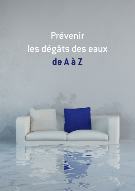E-book Prevenir les degats des eaux de A a Z All The Content