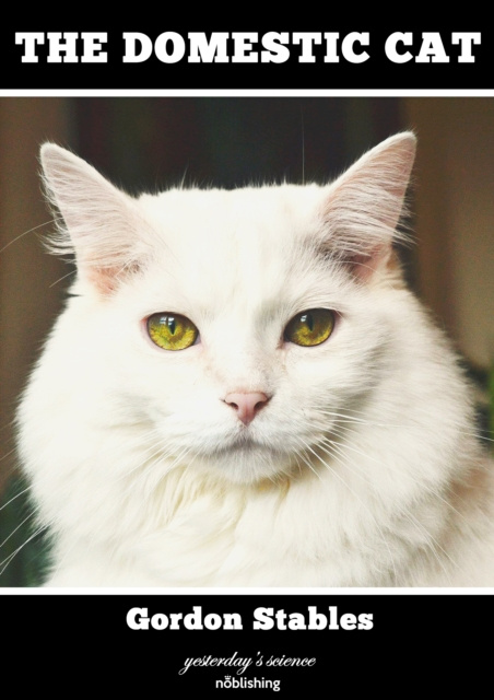 E-book Domestic Cat Gordon Stables