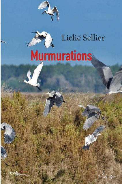 E-knjiga Murmurations Lielie Sellier
