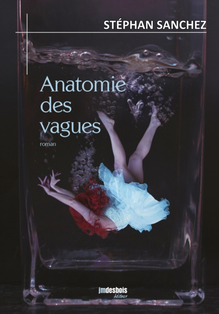 Libro electrónico Anatomie des vagues Stephan Sanchez