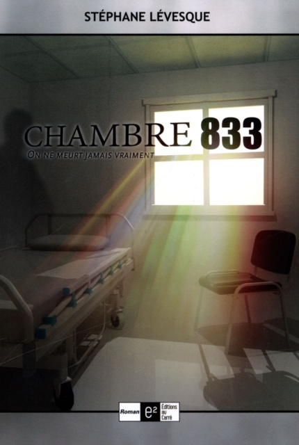 E-kniha Chambre 833 Stephane Levesque Stephane Levesque