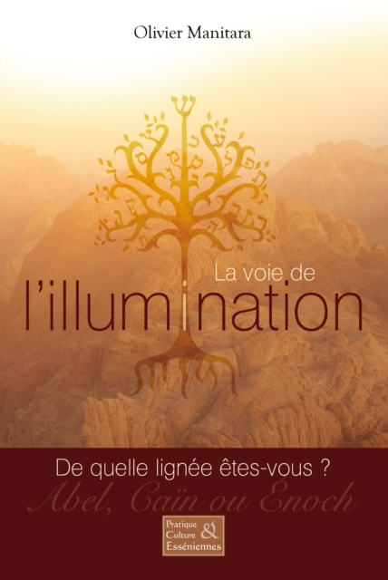 E-book voie de l'illumination Olivier Manitara