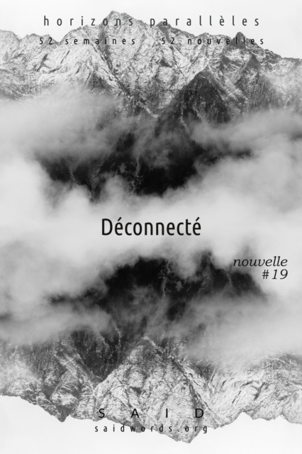 E-knjiga Deconnecte Said