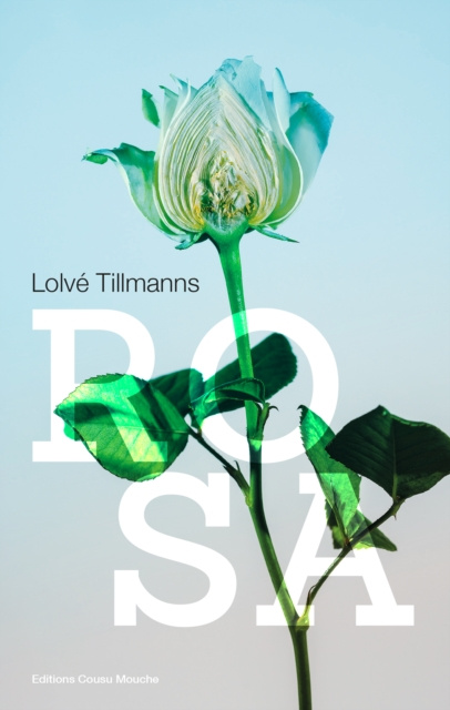 E-kniha Rosa Lolve Tillmanns