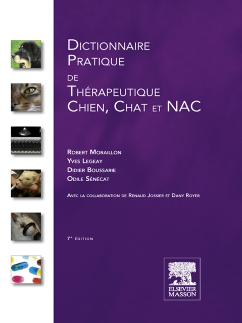 E-kniha Dictionnaire pratique de therapeutique - Chien, chat et NAC Robert Moraillon