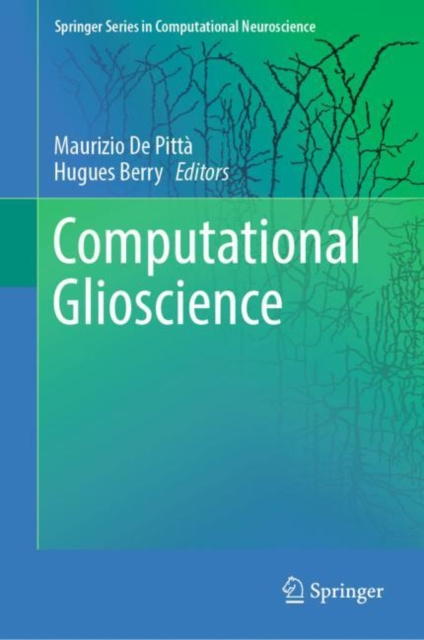E-knjiga Computational Glioscience Maurizio De Pitta