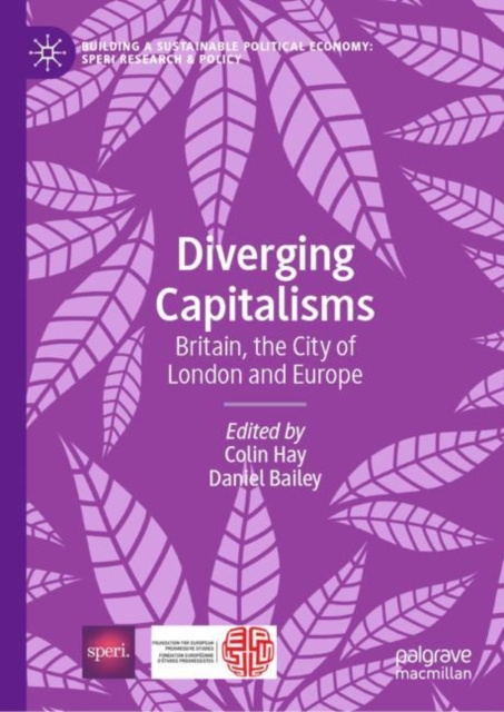 E-book Diverging Capitalisms Colin Hay