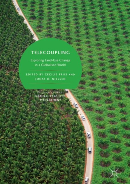 E-knjiga Telecoupling Cecilie Friis