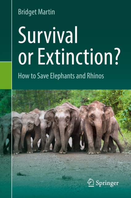 E-kniha Survival or Extinction? Bridget Martin