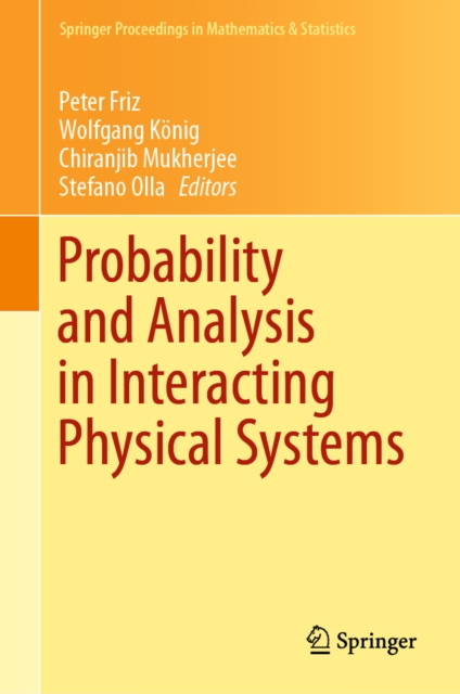 E-kniha Probability and Analysis in Interacting Physical Systems Peter Friz