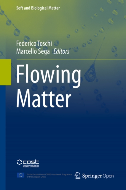 E-book Flowing Matter Federico Toschi