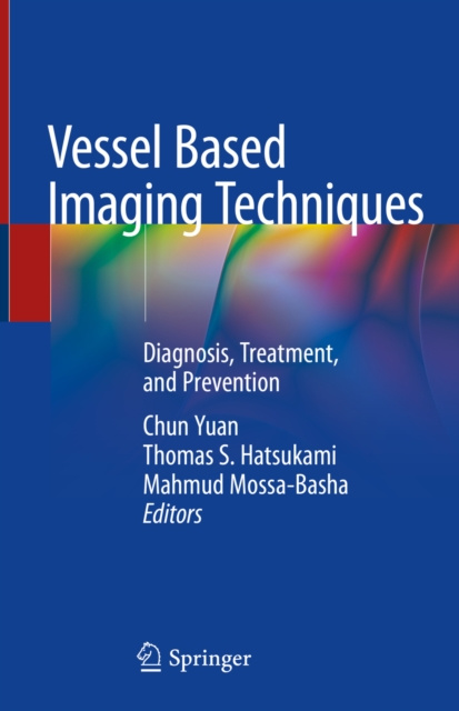E-knjiga Vessel Based Imaging Techniques Chun Yuan