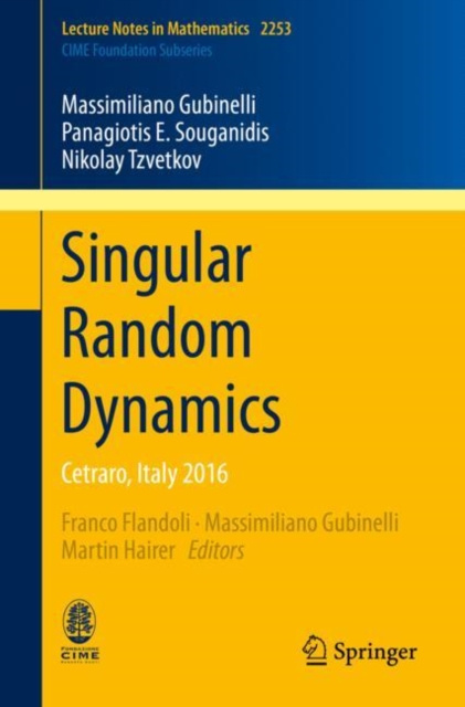 E-knjiga Singular Random Dynamics Massimiliano Gubinelli