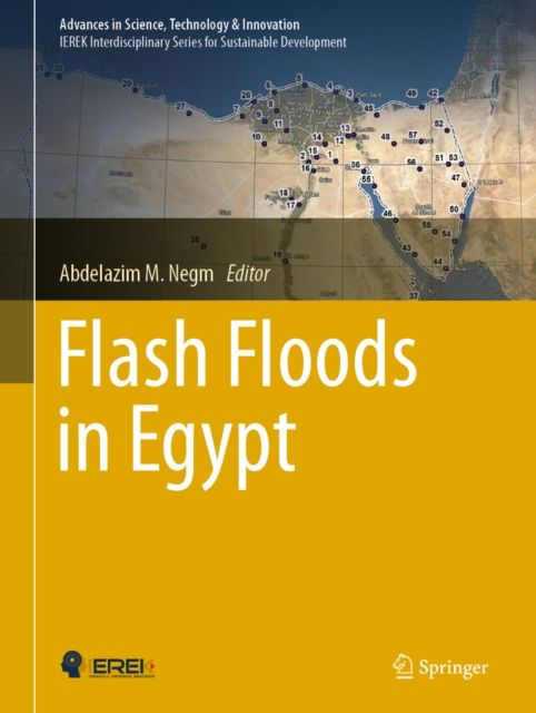 E-Book Flash Floods in Egypt Abdelazim M. Negm