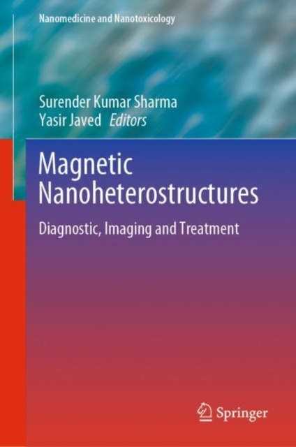 E-knjiga Magnetic Nanoheterostructures Surender Kumar Sharma