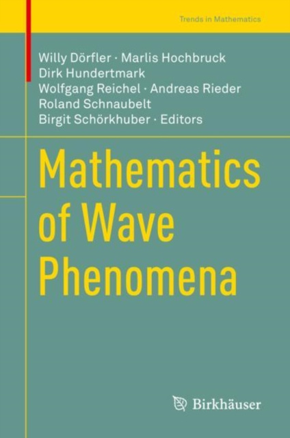 E-kniha Mathematics of Wave Phenomena Willy Dorfler