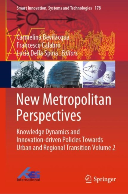 E-knjiga New Metropolitan Perspectives Carmelina Bevilacqua